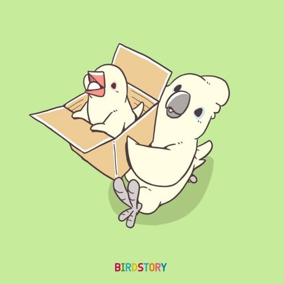 Meet your Posher, Sophie - Picture 1 of 2